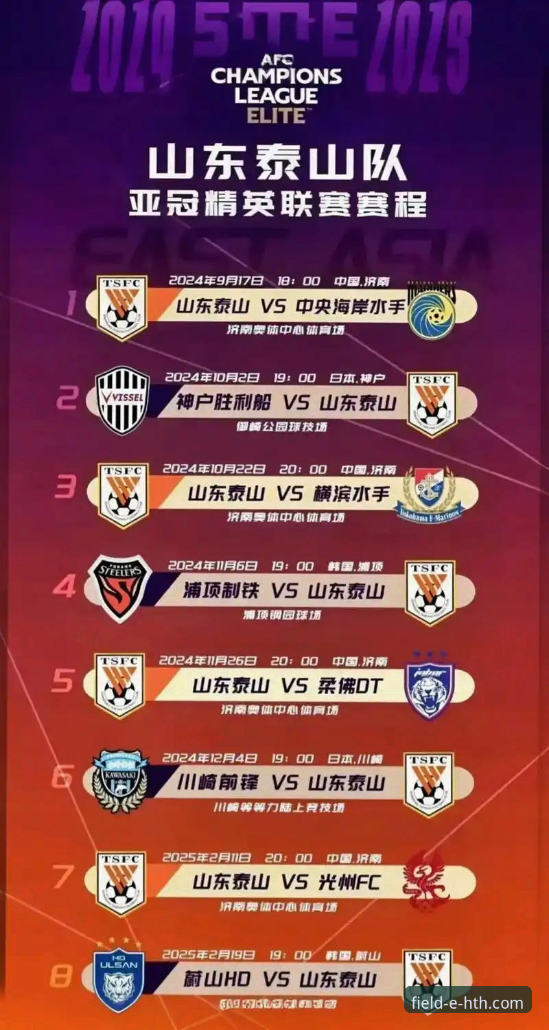 亚冠精英联赛扩军，中超名额全面解析：从1.5席到2.5席的深度分析